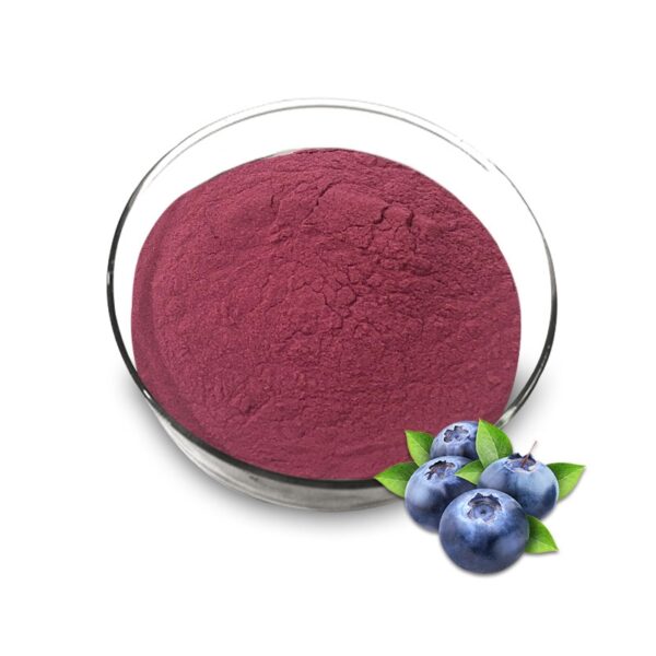 Blueberry Fruit Powder - Image 2